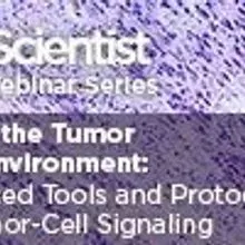 Placeholder Image Placeholder Image